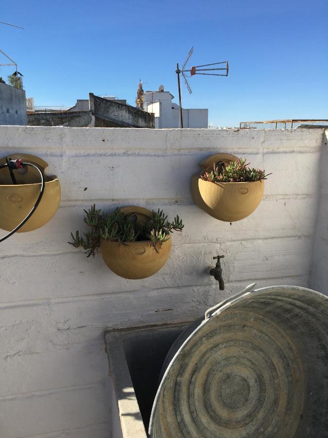 Casa Leon Blanco Carmona Reformada Centrica Con Chimenea Y Terraza Con Vistas Villa Bagian luar foto