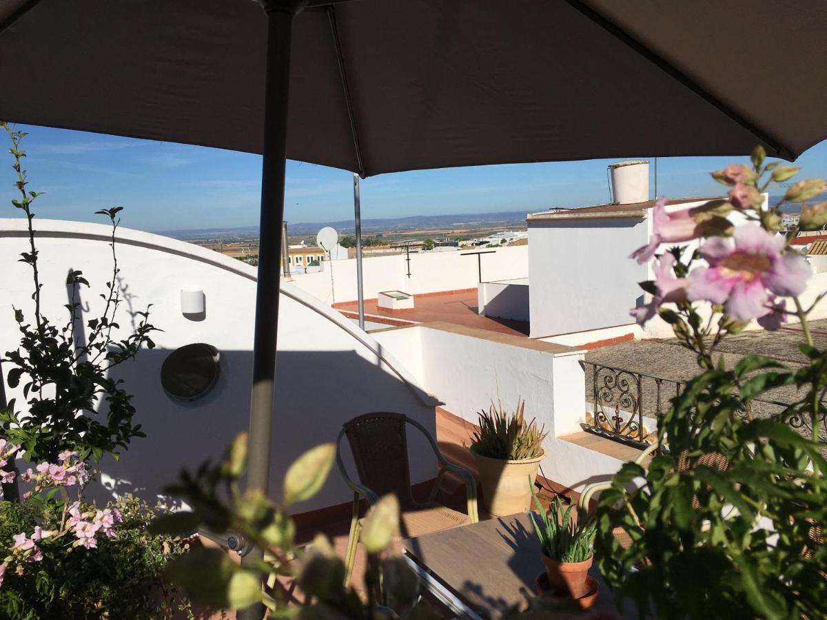 Casa Leon Blanco Carmona Reformada Centrica Con Chimenea Y Terraza Con Vistas Villa Bagian luar foto