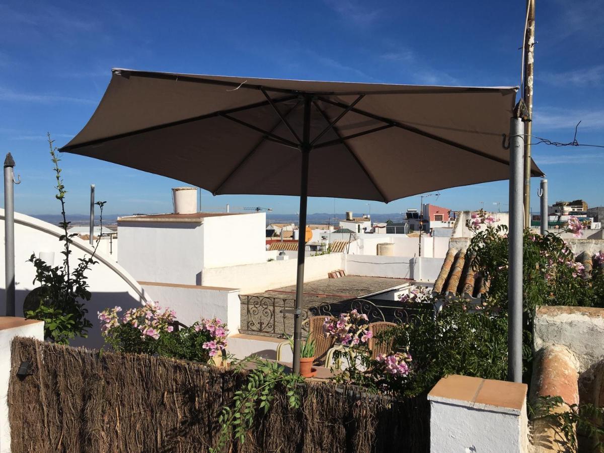 Casa Leon Blanco Carmona Reformada Centrica Con Chimenea Y Terraza Con Vistas Villa Bagian luar foto