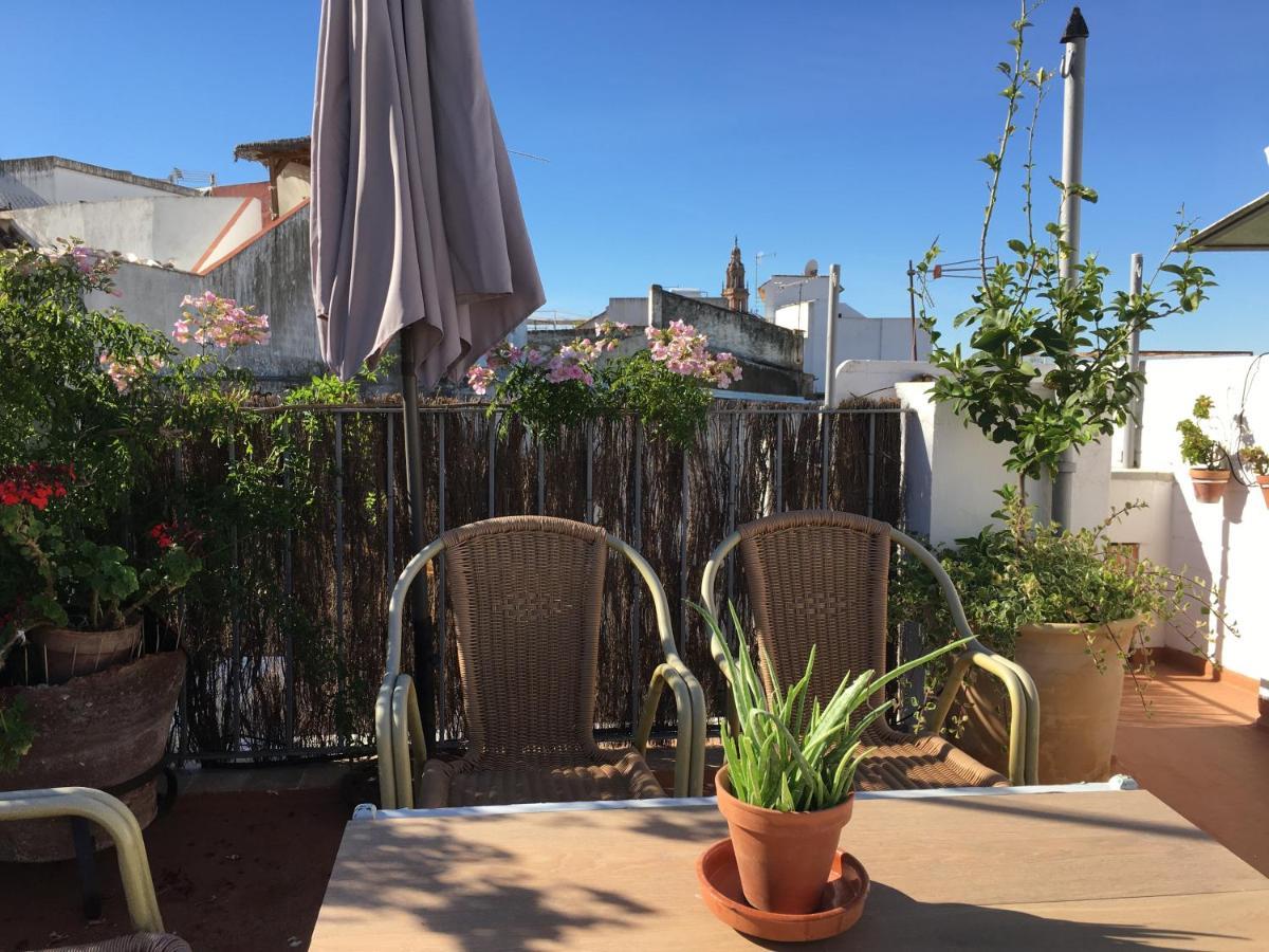 Casa Leon Blanco Carmona Reformada Centrica Con Chimenea Y Terraza Con Vistas Villa Bagian luar foto